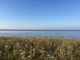 Appartement de vacances Dangast Environnement 26