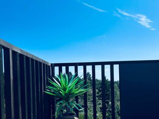 Ferienhaus Risør Außenaufnahme 1