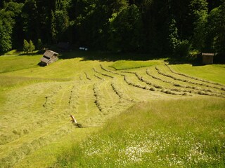 Casa de vacaciones Brandenberg (Tirol) Grabación al aire libre 11
