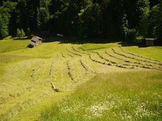 Ferienhaus Brandenberg (Tirol) Außenaufnahme 11