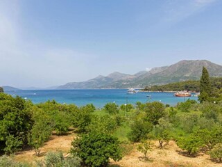 Appartement Mlini  23