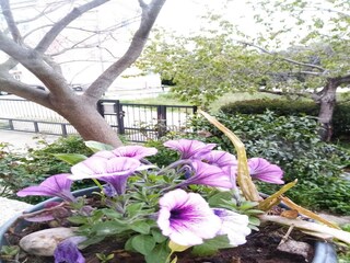 Appartamento Biograd Registrazione all'aperto 5