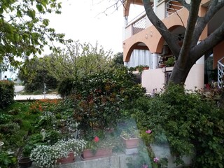 Apartamento Biograd Grabación al aire libre 10