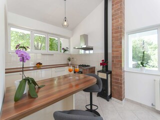 Villa Slime Kenmerken 25