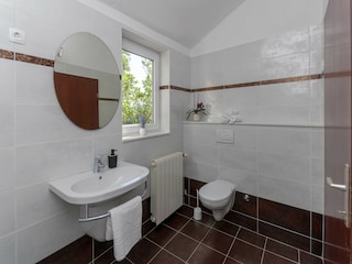 Villa Slime Kenmerken 32