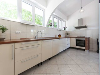 Villa Slime Kenmerken 15