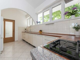 Villa Slime Kenmerken 28