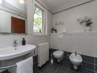 Villa Slime Kenmerken 18