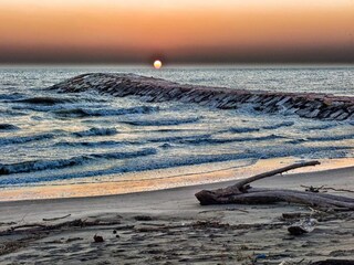 Ferienhaus Albarella Umgebung 21