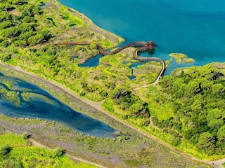 Vakantiehuis Albarella Omgeving 61