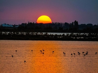 Vakantiehuis Albarella Omgeving 42