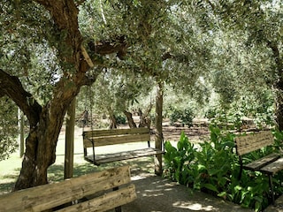 Holiday house Sciacca Outdoor Recording 8