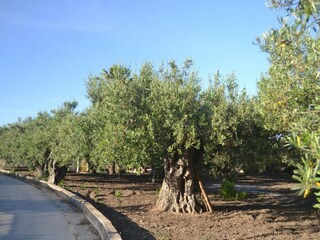 Vakantiehuis Sciacca Omgeving 34