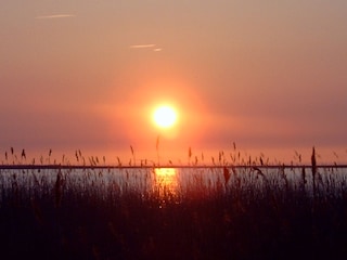 Sonnenuntergang am Bodden