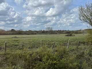 Casa per le vacanze Cadzand-Bad Caratteristiche 15