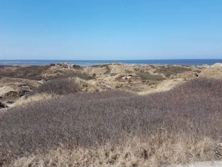 Ferienhaus Blåvand  41