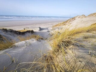 Vakantiehuis Blåvand  47