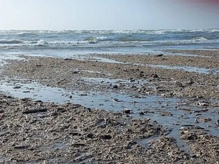 Vakantiehuis Blåvand  24