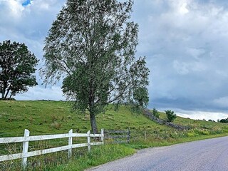 Vakantiehuis Malmö  25