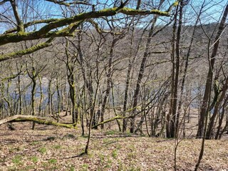Holiday house Malmö  8