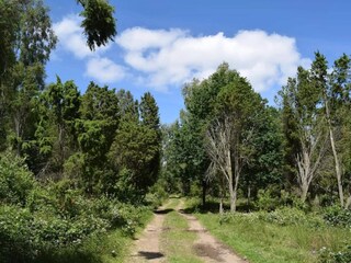 Ferienhaus Malmö  11