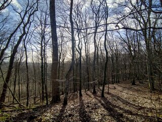 Ferienhaus Malmö  36