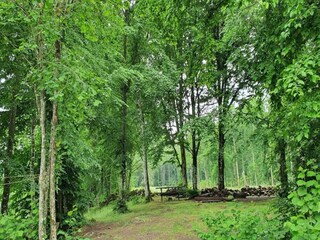 Vakantiehuis Malmö  16