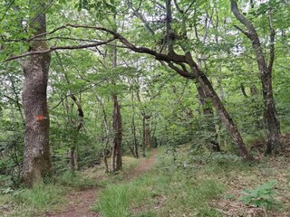 Ferienhaus Malmö  18