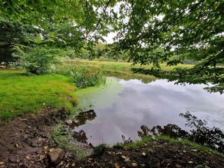 Ferienhaus Malmö  17
