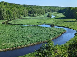 Ferienhaus Malmö  13