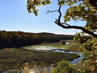 Vakantiehuis Malmö  17