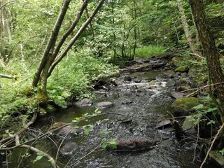 Ferienhaus Malmö  4