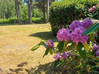 Holiday house Ellös Outdoor Recording 16