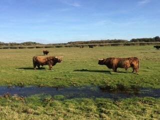 Vakantiehuis Lauwersoog Omgeving 36