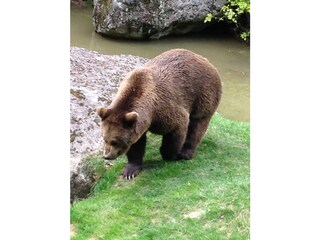 Casa per le vacanze St. Oswald-Riedlhütte Ambiente 20