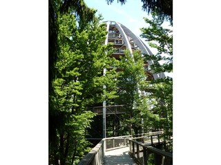 Casa per le vacanze St. Oswald-Riedlhütte Ambiente 22