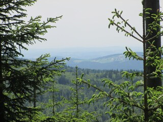 Casa per le vacanze St. Oswald-Riedlhütte Ambiente 23