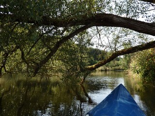Casa per le vacanze St. Oswald-Riedlhütte Ambiente 24