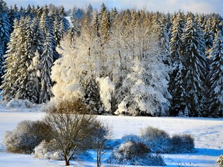 Casa per le vacanze St. Oswald-Riedlhütte Ambiente 26