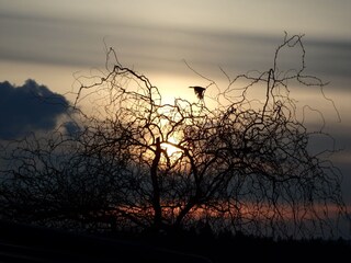 Casa per le vacanze St. Oswald-Riedlhütte Ambiente 27