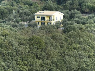 Das Gelbe Haus Korfu im Olivenhain