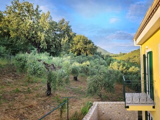 Balkon mit Blick in die wunderbare Landschaft