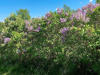 Holiday house Hölö Outdoor Recording 7