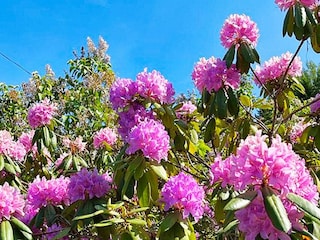 Holiday house Hölö Outdoor Recording 10