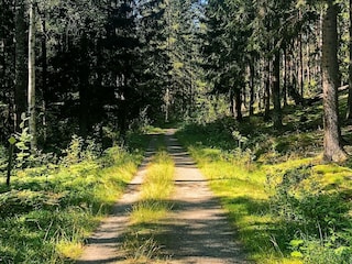 Holiday house Hölö  20