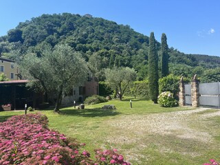 Casa de vacaciones Capannori Entorno 16
