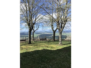 Casa per le vacanze Capannori Ambiente 19