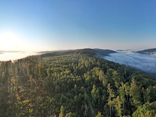 Weserbergland im Nebel