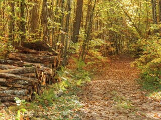 Casa per le vacanze Saint-Aubin-de-Nabirat Ambiente 25