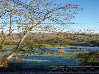Casa per le vacanze Saint-Aubin-de-Nabirat Ambiente 26